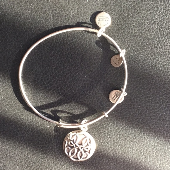 2 Alex and Ani Bangles (Great Condition) - Picture 2 of 7